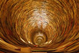 Politique de développement des collections
