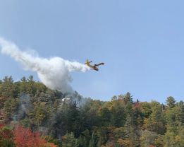 Feu de forêt au Mont Baldy
