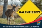 Chevreuils sur les routes | Soyez vigilant!