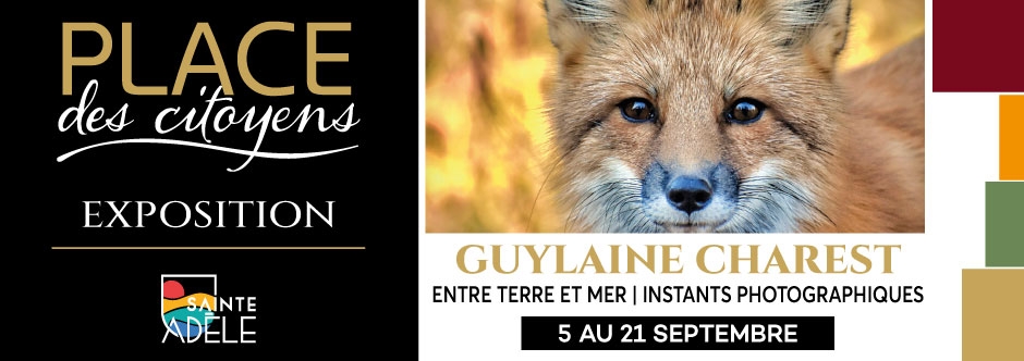 Guylaine Charest | Entre terre et mer 