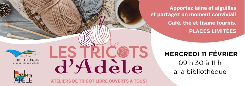 tricot d'Adèle février 